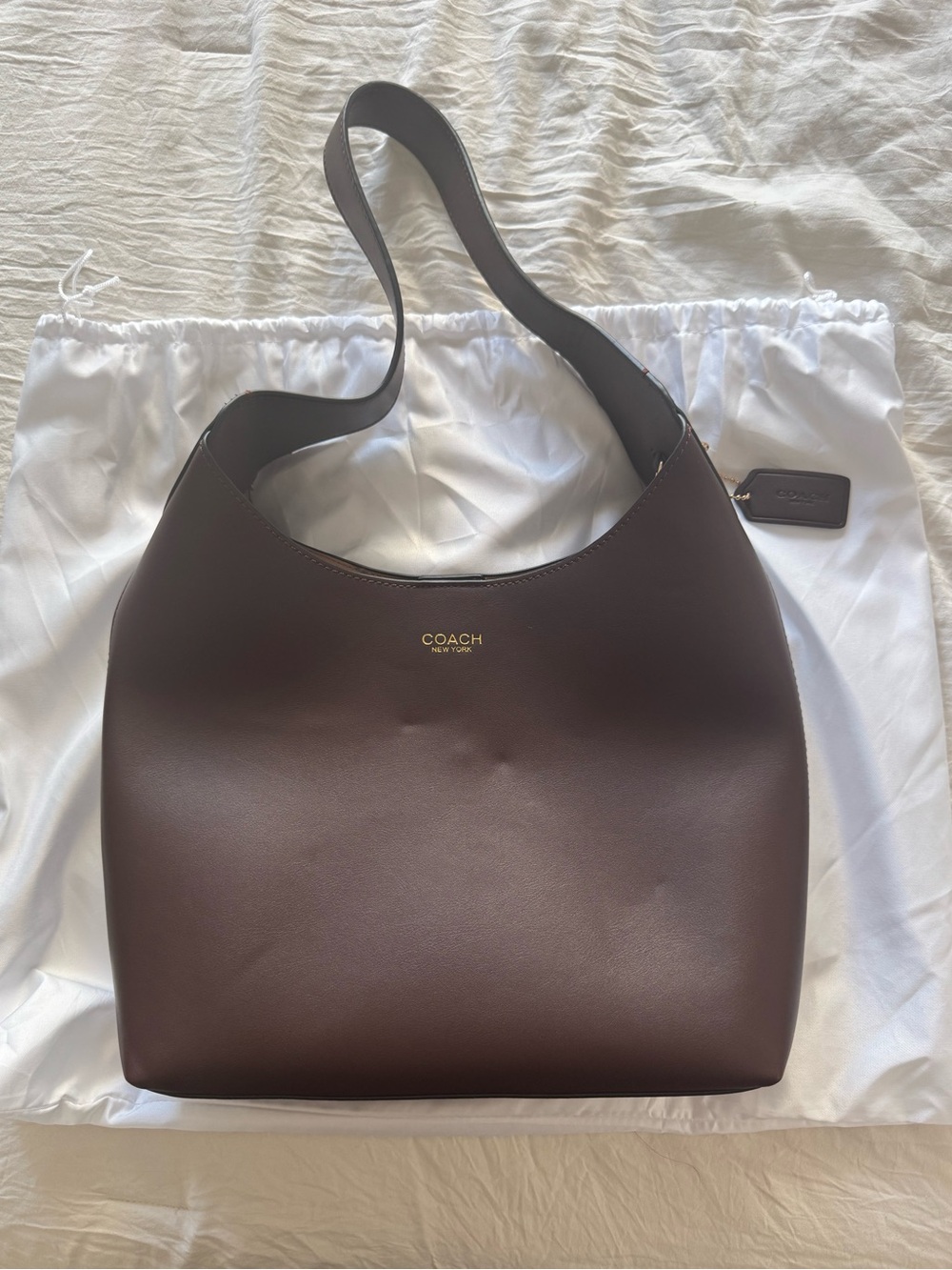COACH Chocolate Brown Smooth Leather Shoulder Hobo